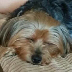 Meet your Posher, Tina